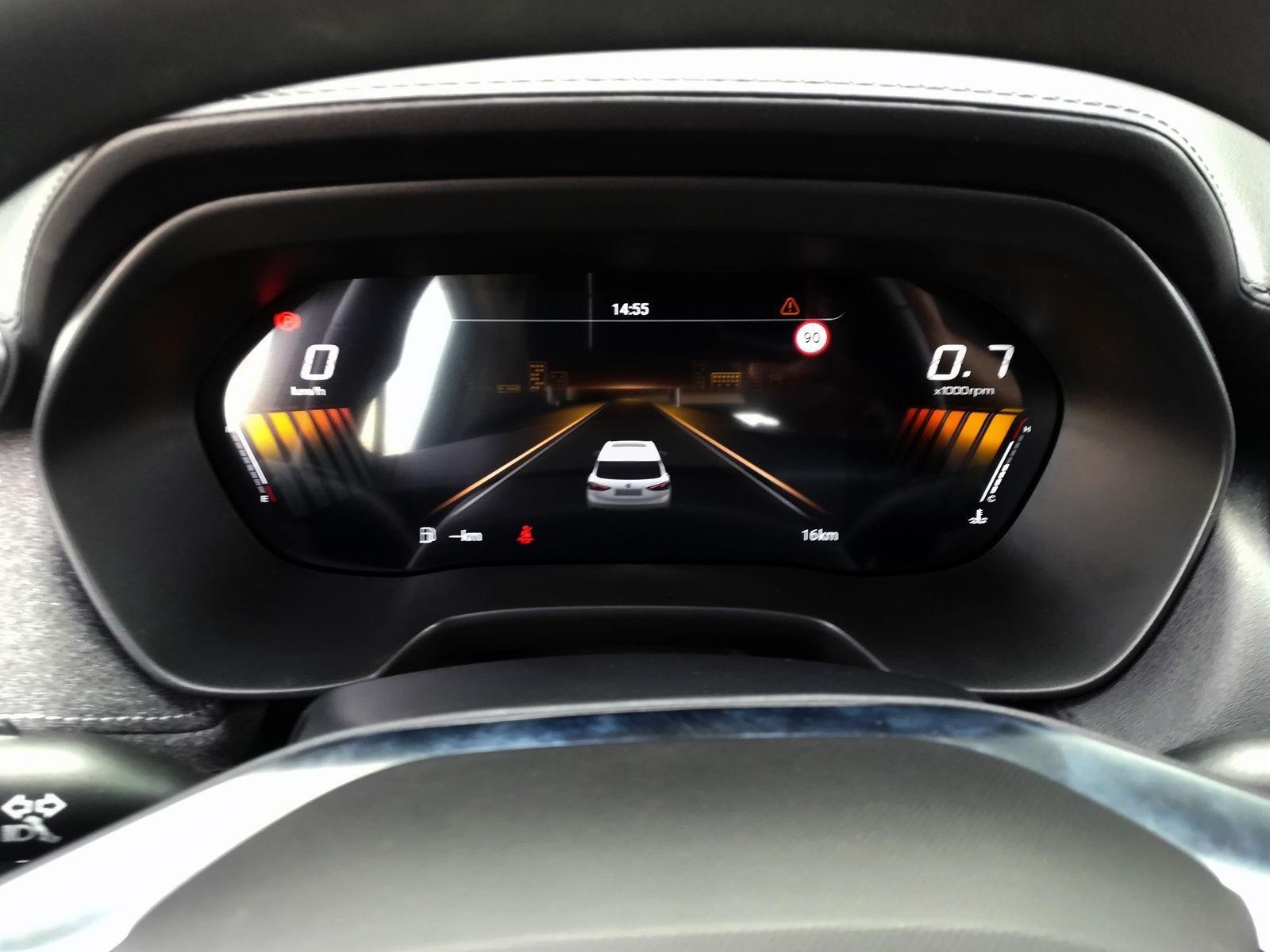 10 - Mg ZS 1.5 standard