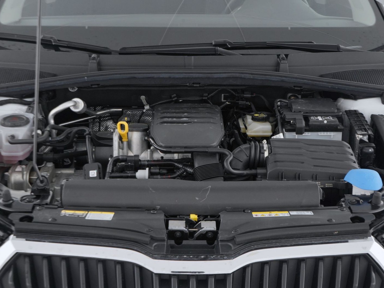 11 - Skoda Fabia 1.0 mpi evo 80cv 130 edition