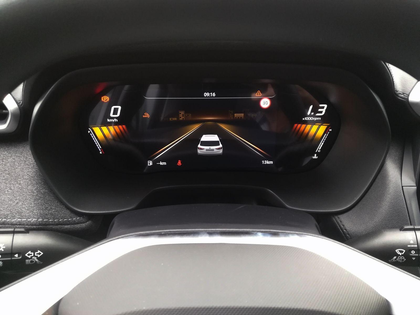 10 - Mg ZS 1.5 standard