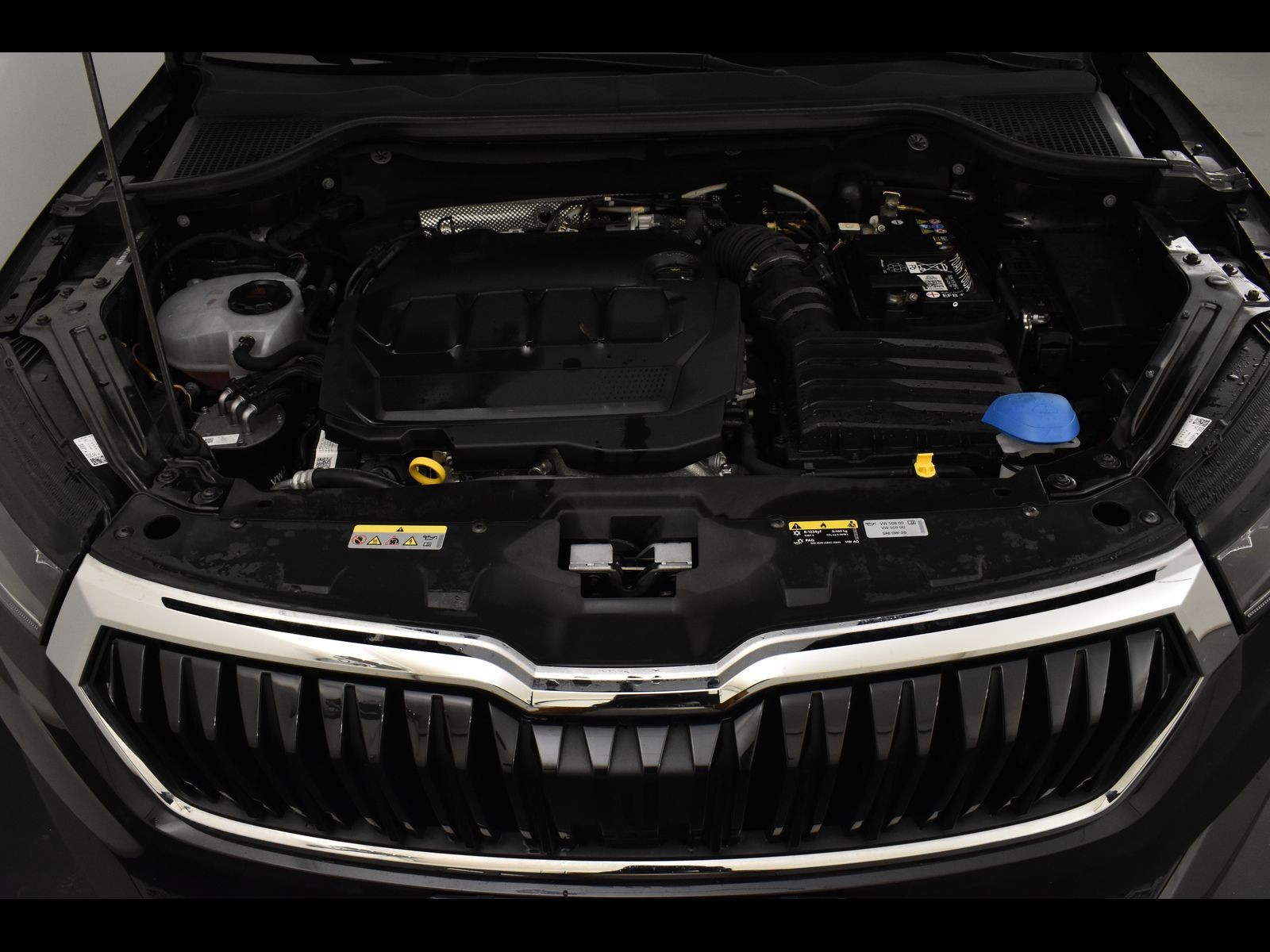 11 - Skoda Karoq 2.0 tdi evo scr 115cv executive dsg