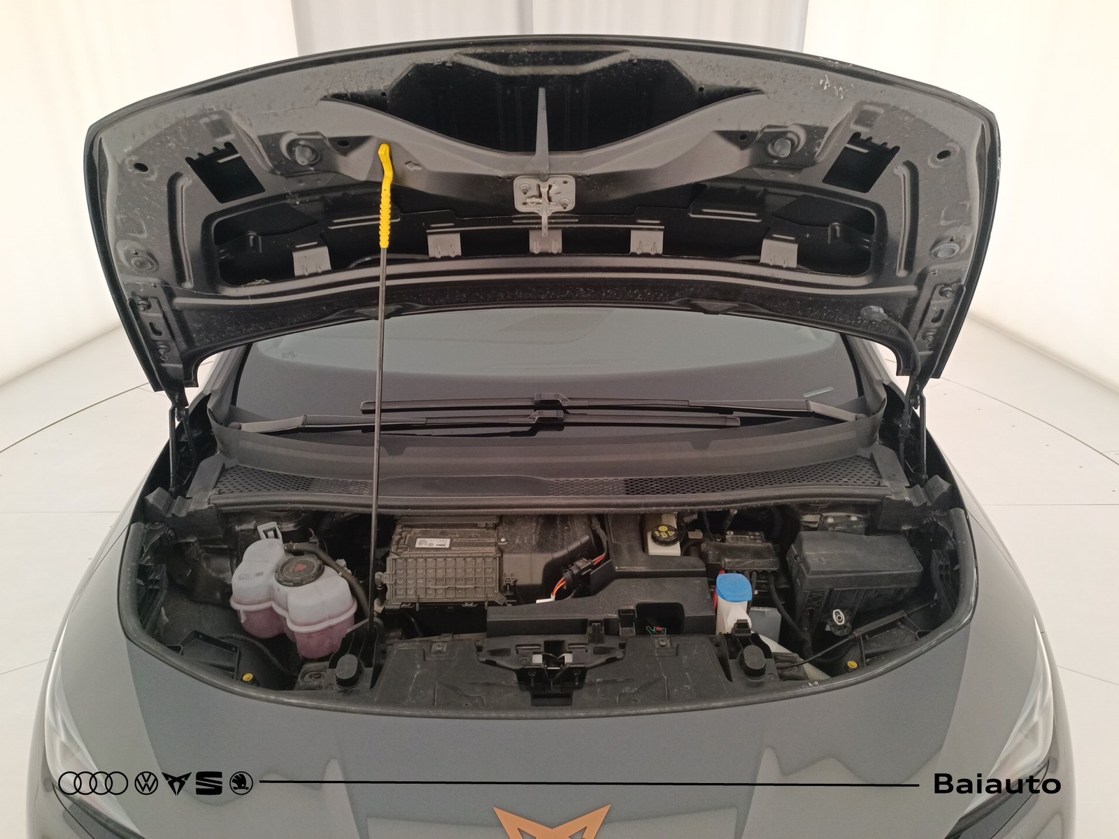 29 - Cupra Born 58kwh