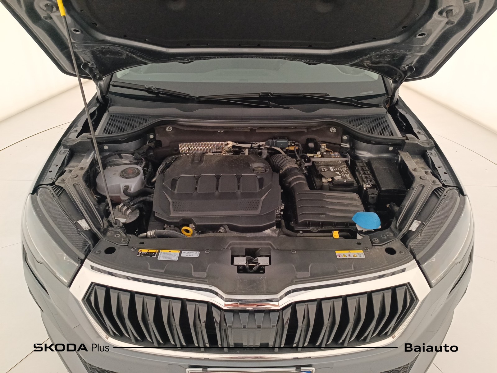 32 - Skoda Karoq 2.0 tdi evo scr 150cv executive 4x4 dsg