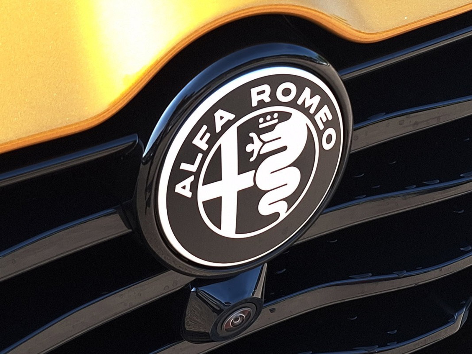 24 - Alfa Romeo Tonale 1.5 hybrid 175cv veloce tct7