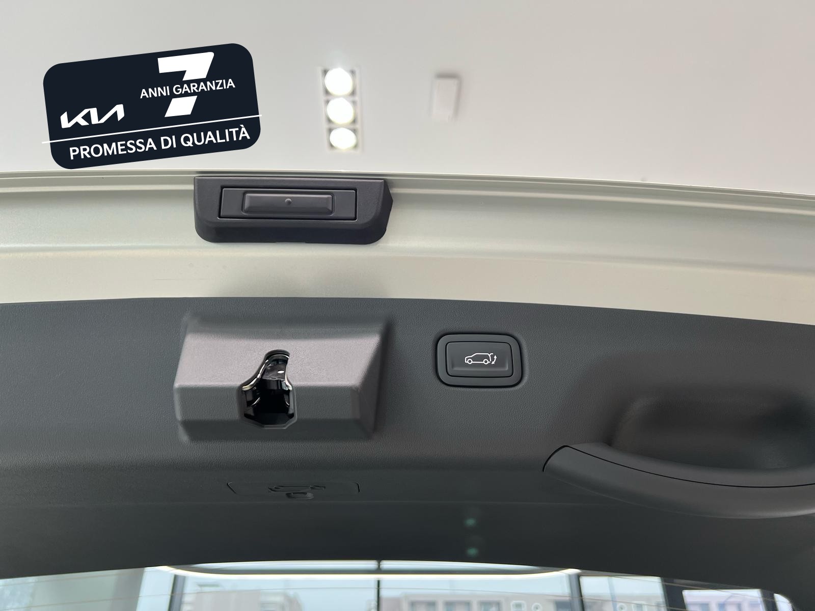 18 - Kia EV3 81,4 kwh earth