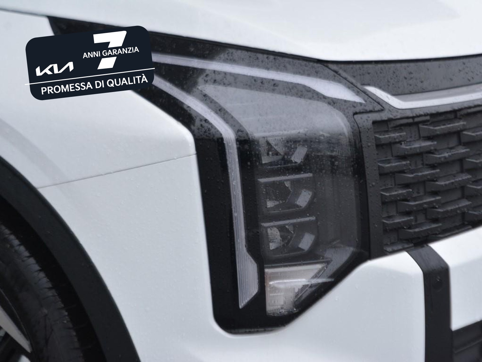 22 - Kia Sportage 1.6 crdi mhev style dct7