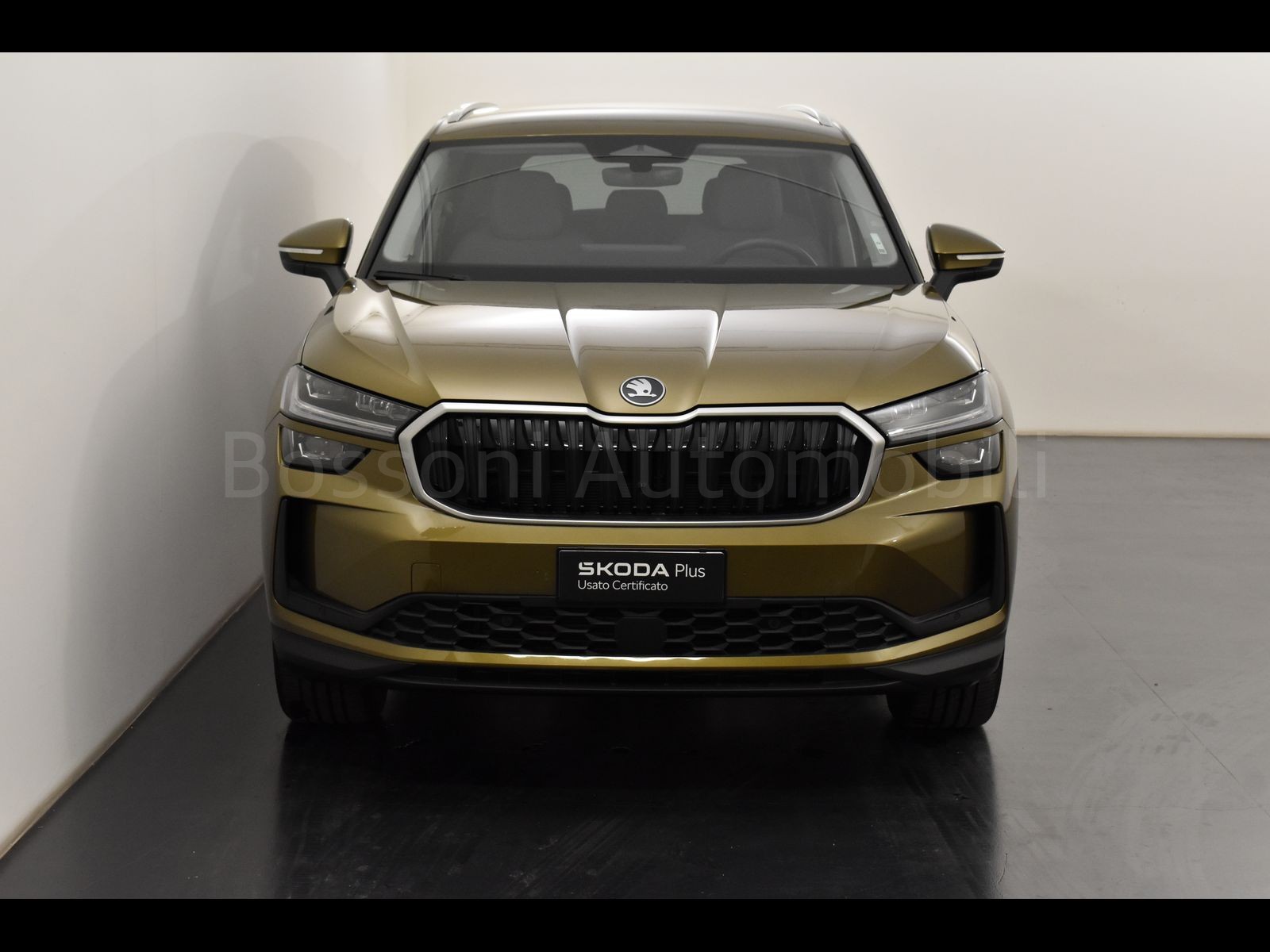 2 - Skoda Kodiaq 1.5 tsi m-hev 150cv selection dsg