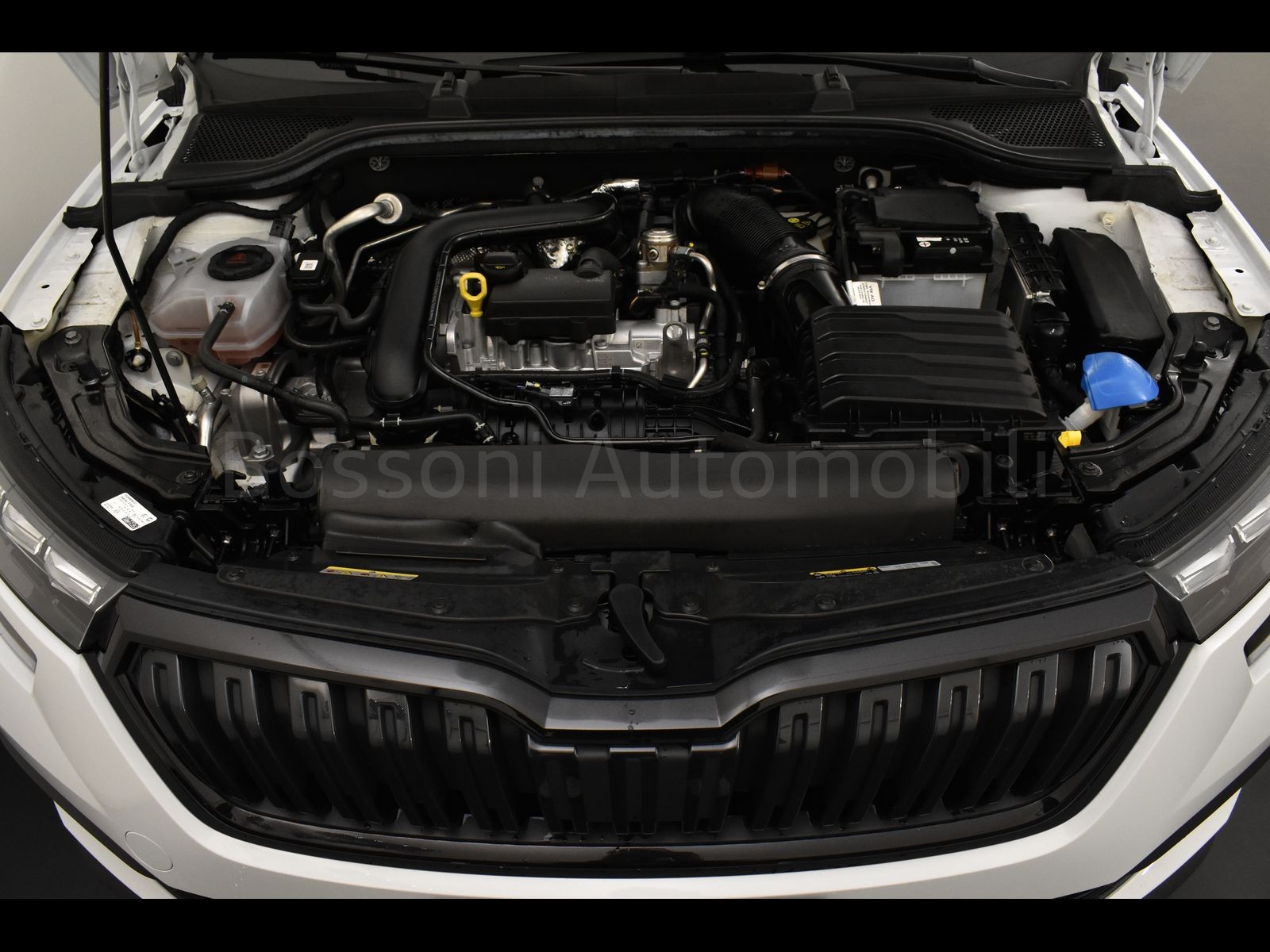 11 - Skoda Kamiq 1.0 tsi 110cv dark shade