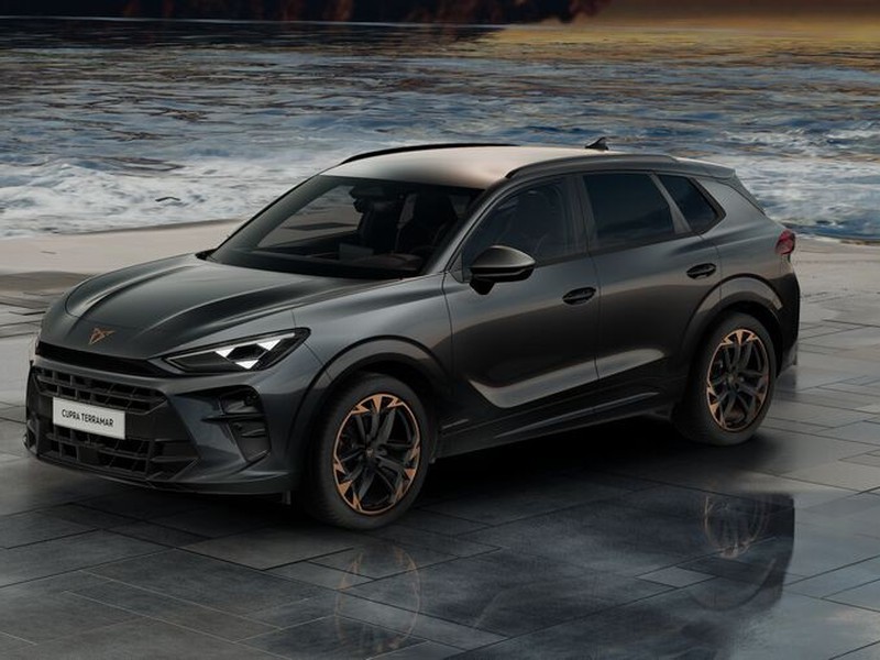 1 - Cupra Terramar 1.5 hybrid 150cv