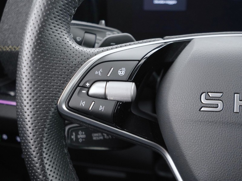 25 - Skoda Kodiaq 1.5 tsi m-hev 150cv executive dsg 7p.ti