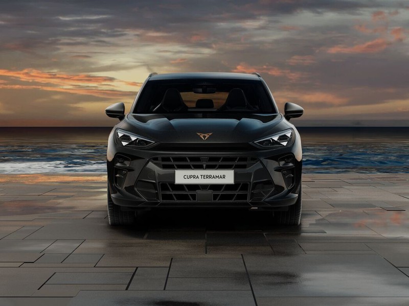 1 - Cupra Terramar 1.5 e-hybrid 204cv dsg