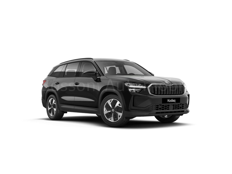 1 - Skoda Kodiaq 2.0 tdi evo scr 150cv executive dsg