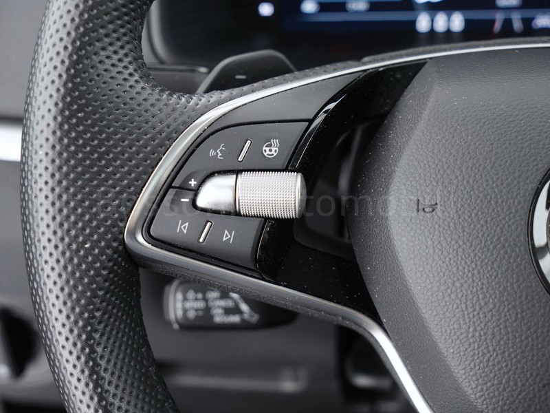 25 - Skoda Karoq 1.5 tsi act executive dsg