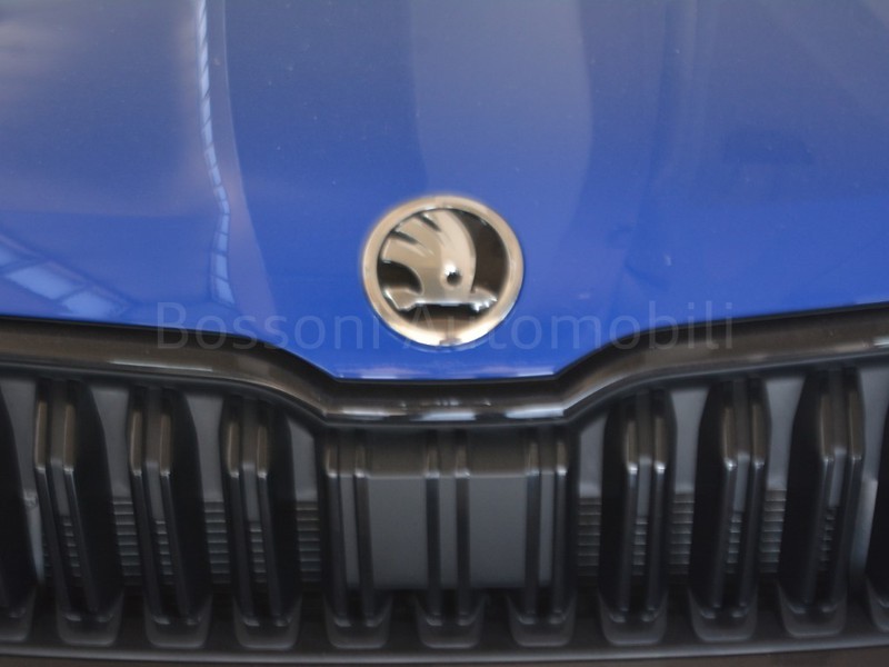 19 - Skoda Kamiq 1.0 tsi 115cv black dots