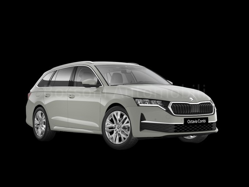 1 - Skoda Octavia wagon 2.0 tdi 115cv style