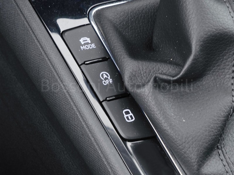 25 - Skoda Fabia 1.0 tsi evo 95cv selection