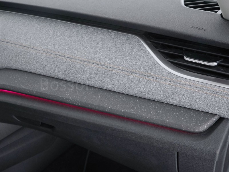 19 - Skoda Octavia wagon 2.0 tdi 150cv executive dsg