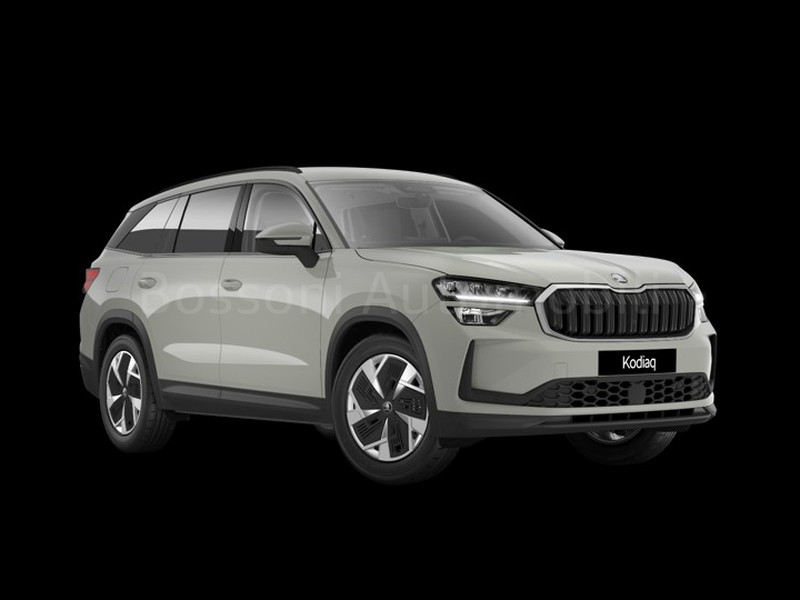 1 - Skoda Kodiaq 2.0 tdi 150cv executive dsg