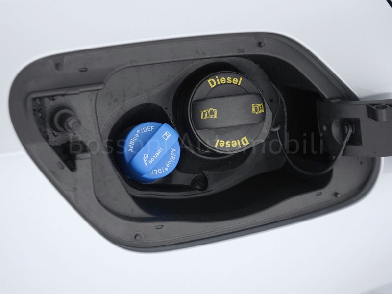 31 - Volkswagen Golf 2.0 tdi scr 115cv life