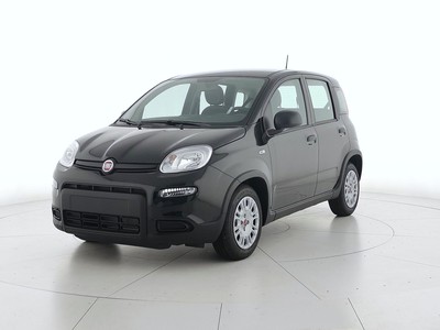 Fiat Panda 1.0 firefly hybrid 70cv s&s