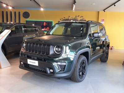Jeep Renegade 1.3 t4 phev north star 4xe at6