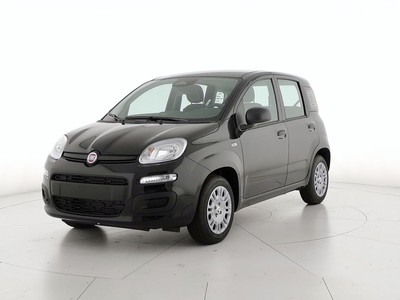 Fiat Panda 1.0 firefly hybrid 70cv pop s&s