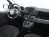 Fiat Panda 1.0 firefly hybrid 70cv s&s