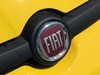 Fiat Panda 1.0 firefly hybrid 70cv s&s