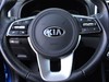 Kia Sportage 1.6 crdi mild hybrid  136cv black edition 2wd