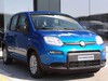 Fiat Panda 1.0 firefly hybrid 70cv s&s