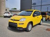 Fiat Panda 1.0 firefly hybrid 70cv s&s