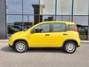 Fiat Panda 1.0 firefly hybrid 70cv s&s