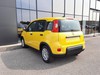 Fiat Panda 1.0 firefly hybrid 70cv s&s