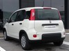 Fiat Panda 1.0 firefly hybrid 70cv s&s