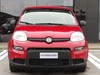 Fiat Panda 1.0 firefly hybrid 70cv s&s