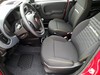 Fiat Panda 1.0 firefly hybrid 70cv s&s