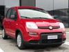 Fiat Panda 1.0 firefly hybrid 70cv s&s