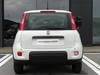 Fiat Panda 1.0 firefly hybrid 70cv s&s