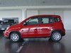 Fiat Panda 1.0 firefly hybrid 70cv s&s