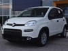Fiat Professional Panda van 1.0 hybrid 70cv 2p.ti serie 6
