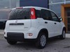 Fiat Professional Panda van 1.0 hybrid 70cv 2p.ti serie 6