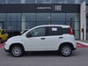 Fiat Professional Panda van 1.0 hybrid 70cv 2p.ti serie 6