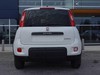 Fiat Professional Panda van 1.0 hybrid 70cv 2p.ti serie 6