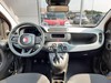 Fiat Panda 1.0 firefly hybrid 70cv s&s