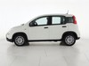 Fiat Panda 1.0 70cv Hybrid Panda