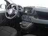 Fiat Panda 1.0 70cv Hybrid Panda