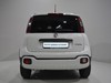 Fiat Panda cross 1.0 firefly hybrid 70cv s&s 5p.ti