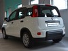 Fiat Panda 1.0 firefly hybrid 70cv city life s&s