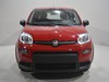 Fiat Panda pandina 1.0 firefly hybrid 70cv s&s