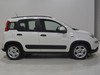 Fiat Panda 1.0 firefly hybrid 70cv city life s&s 5p.ti