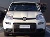 Fiat Panda 1.0 firefly hybrid 70cv s&s